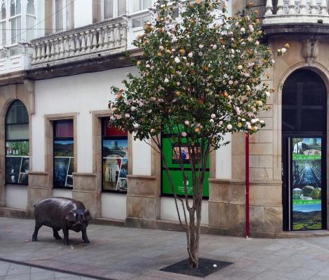 Imagen Monumento ó Porco