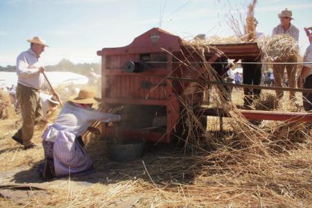 Imaxe: Maja Tradicional