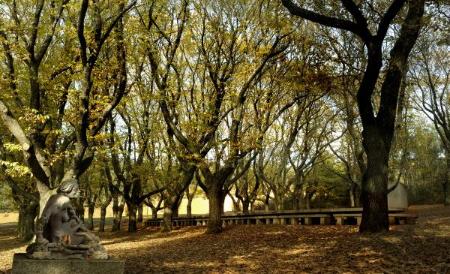 Imaxe: Rodo's Oak Grove and Garcia Sanchez's Chestnut grove